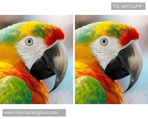 挑战你的眼力与记忆力认出足球明星的精彩视频合集 挑战你的眼力与记忆力认出足球明星的精彩视频合集