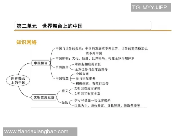 中国足球的现状与未来发展路径探讨及其在国际舞台上的表现分析