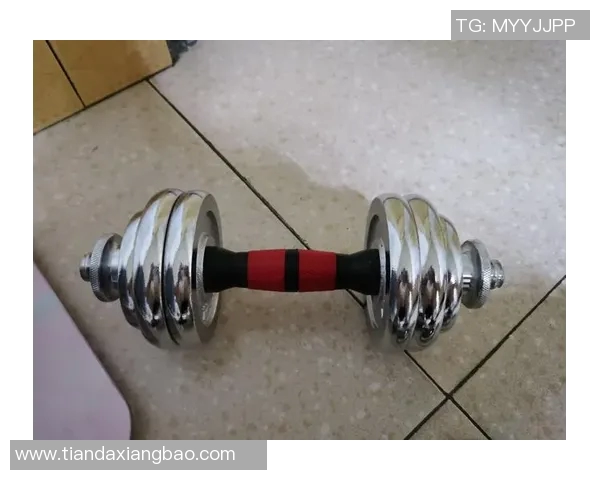 哑铃价格一般多少钱选择合适的哑铃需要考虑哪些因素和预算建议